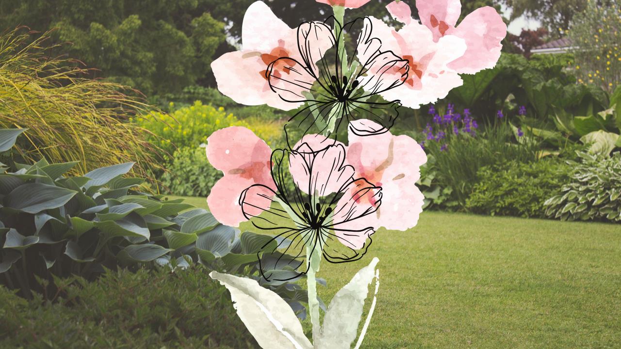 La exótica planta con flor transparente que le dará a tu jardín una belleza única